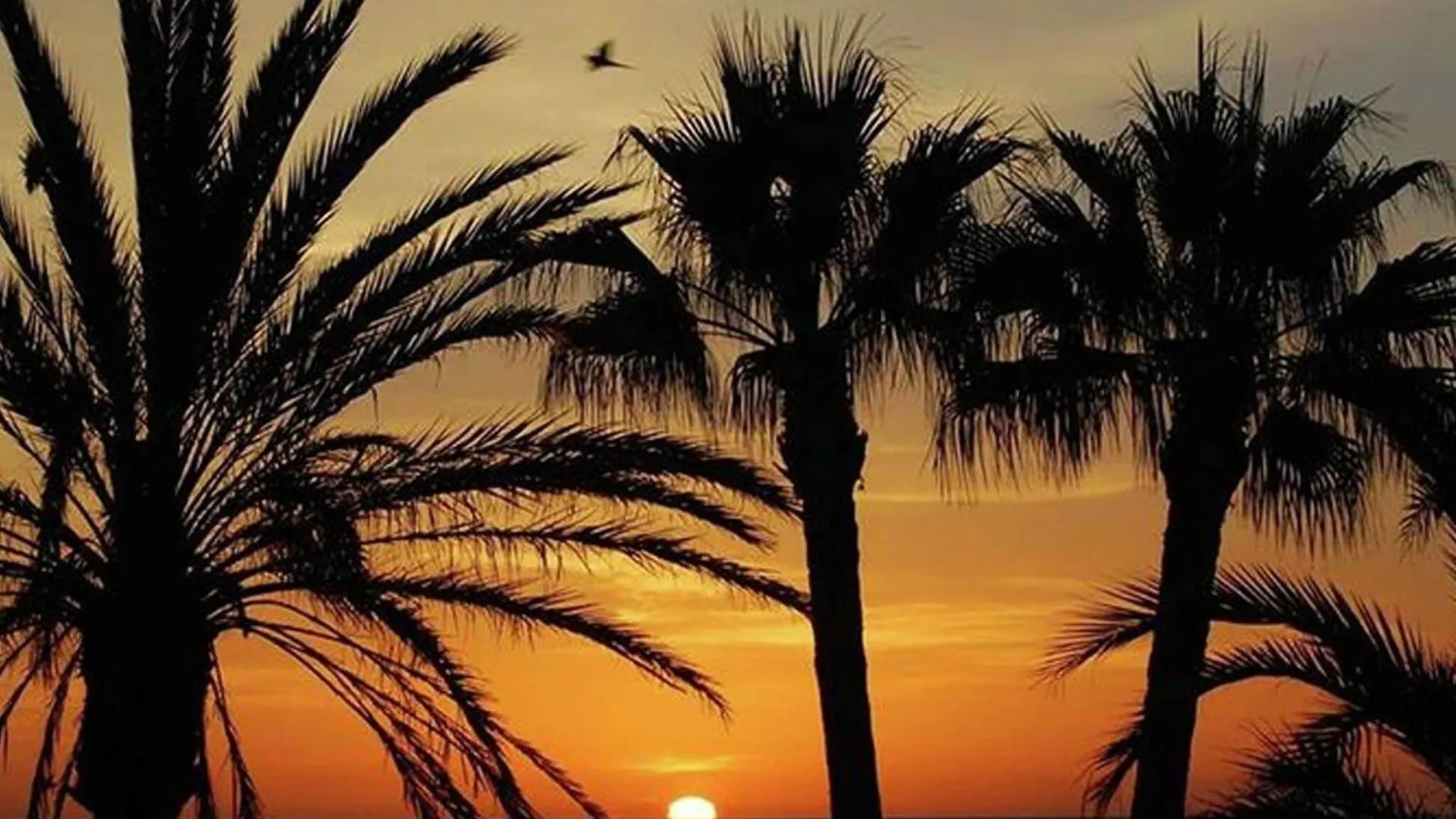 Holiday Home In Torremolinos Near Seabeach マラガ 0*,